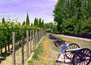 farm-field 2