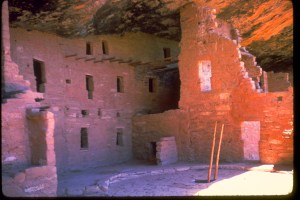 Mesa_Verde_National_Park_MEVE6012