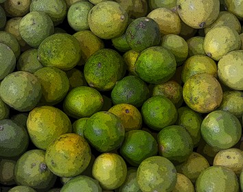 Limes-Oman